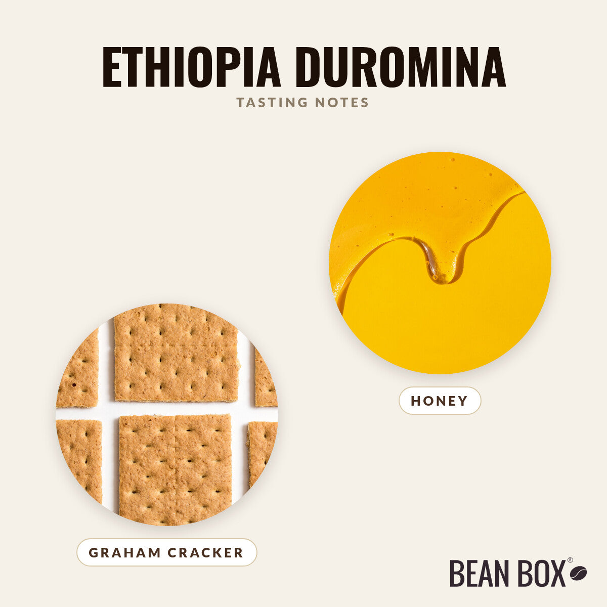 Ethiopia Duromina