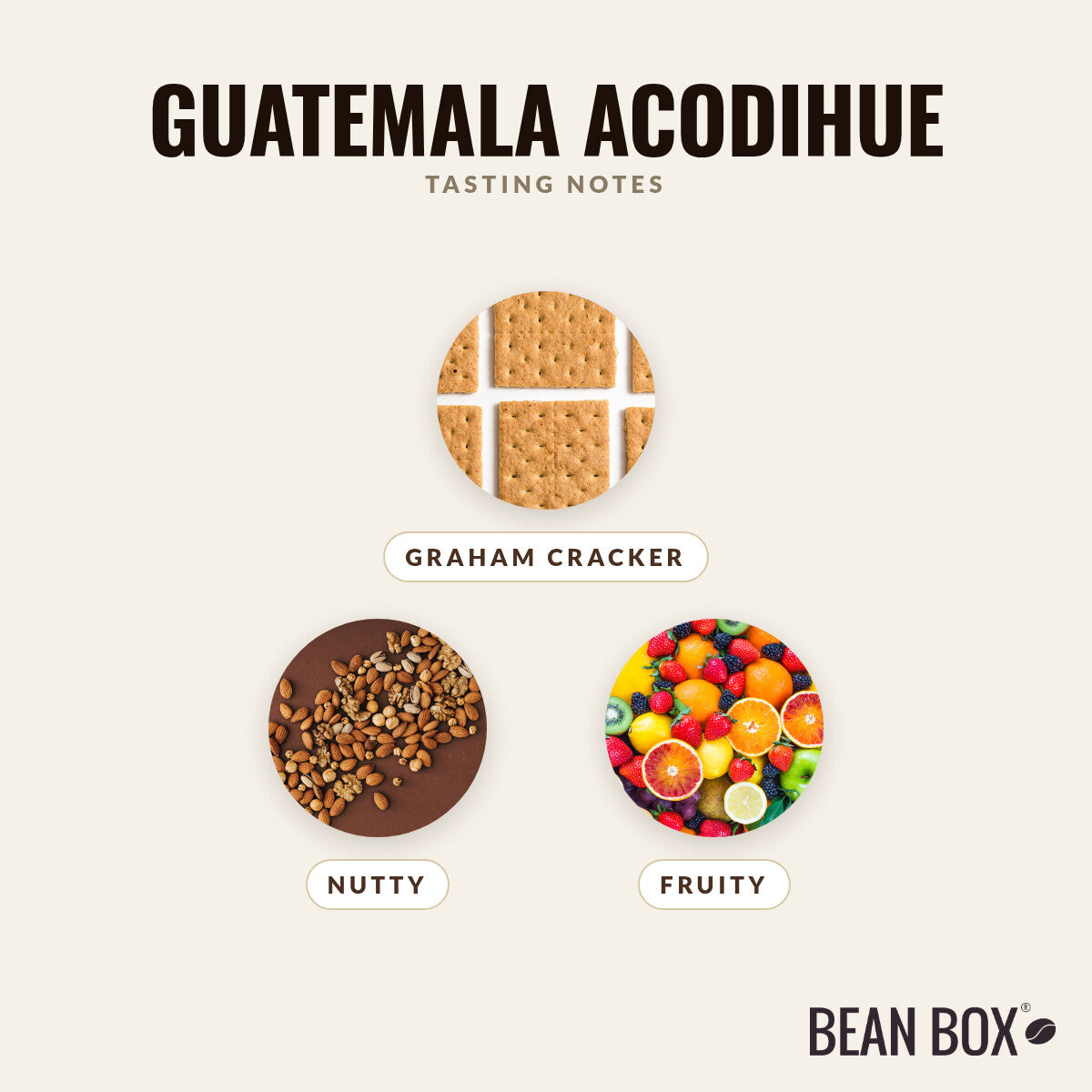 Guatemala Acodihue