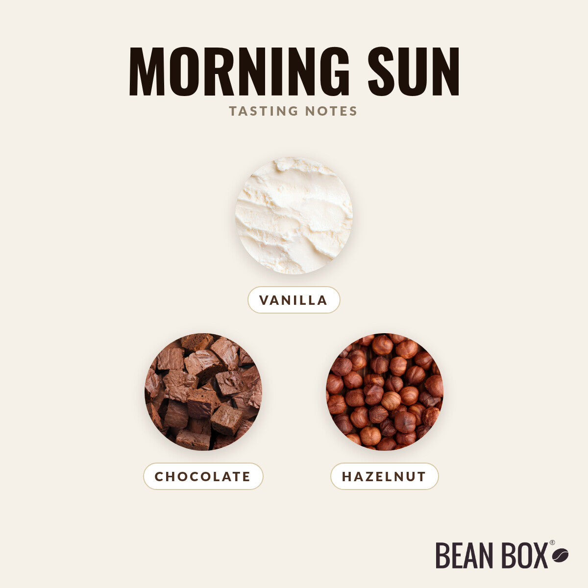 Morning Sun