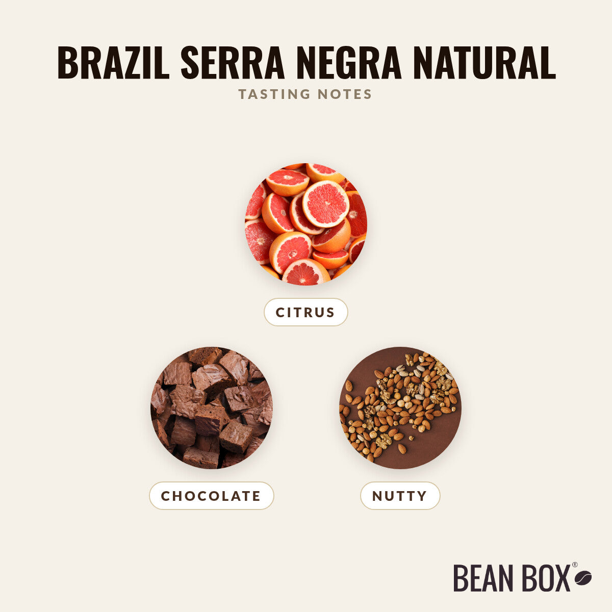 Brazil Serra Negra Natural