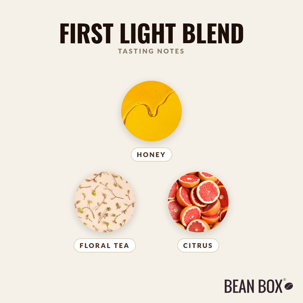 First Light Blend