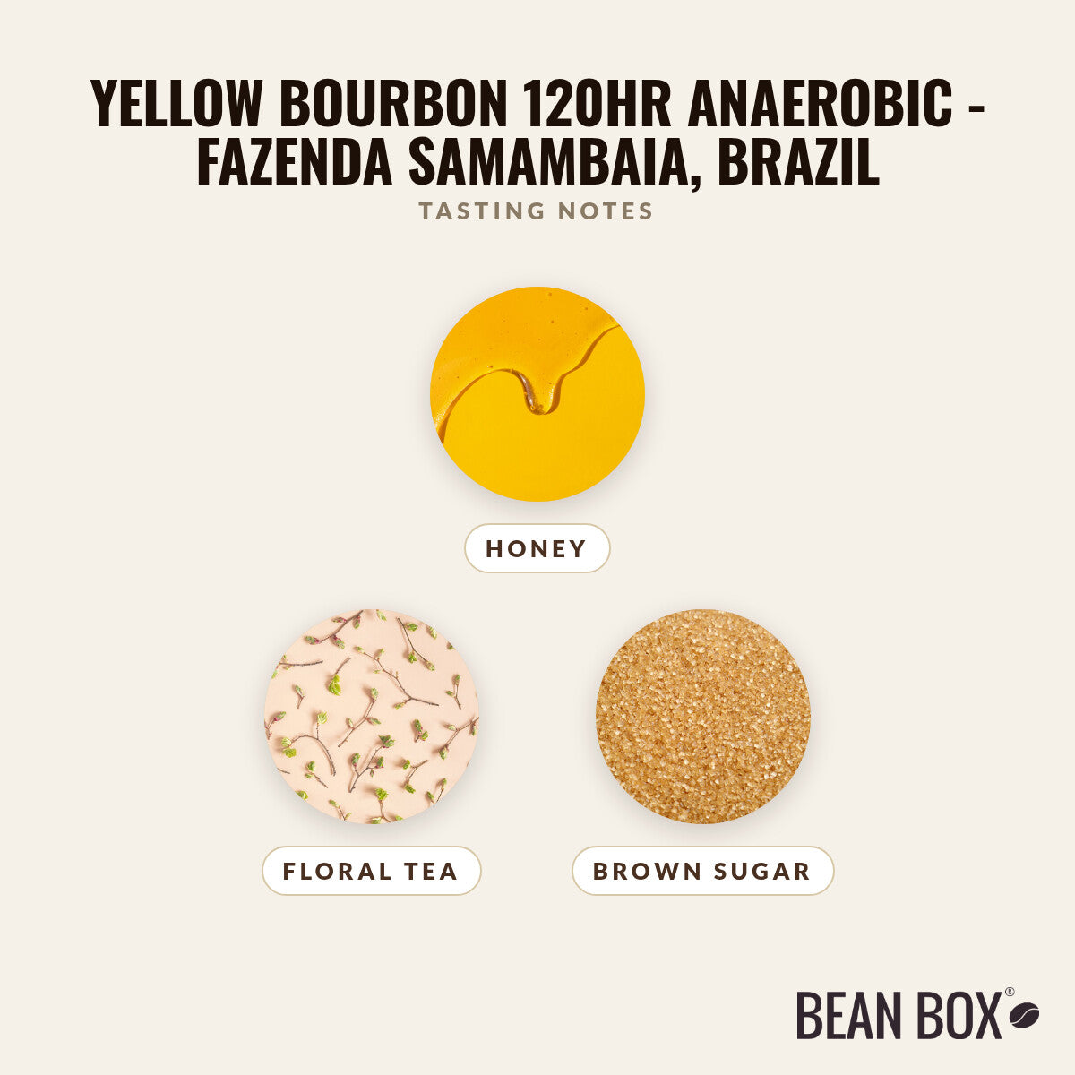 Yellow Bourbon 120hr Anaerobic - Fazenda Samambaia, Brazil