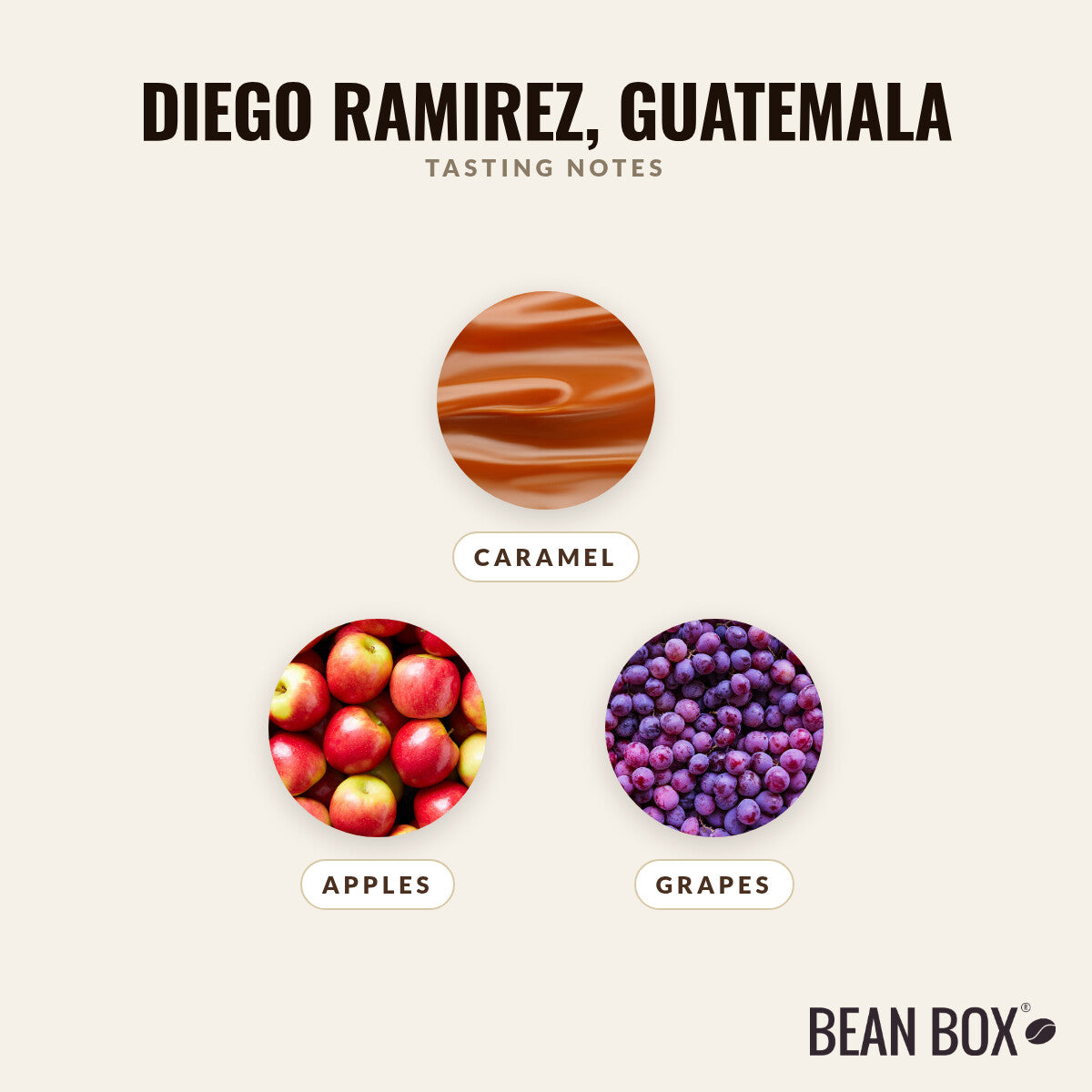 Diego Ramirez, Guatemala