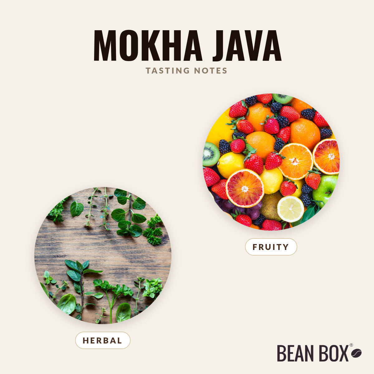 Mokha Java