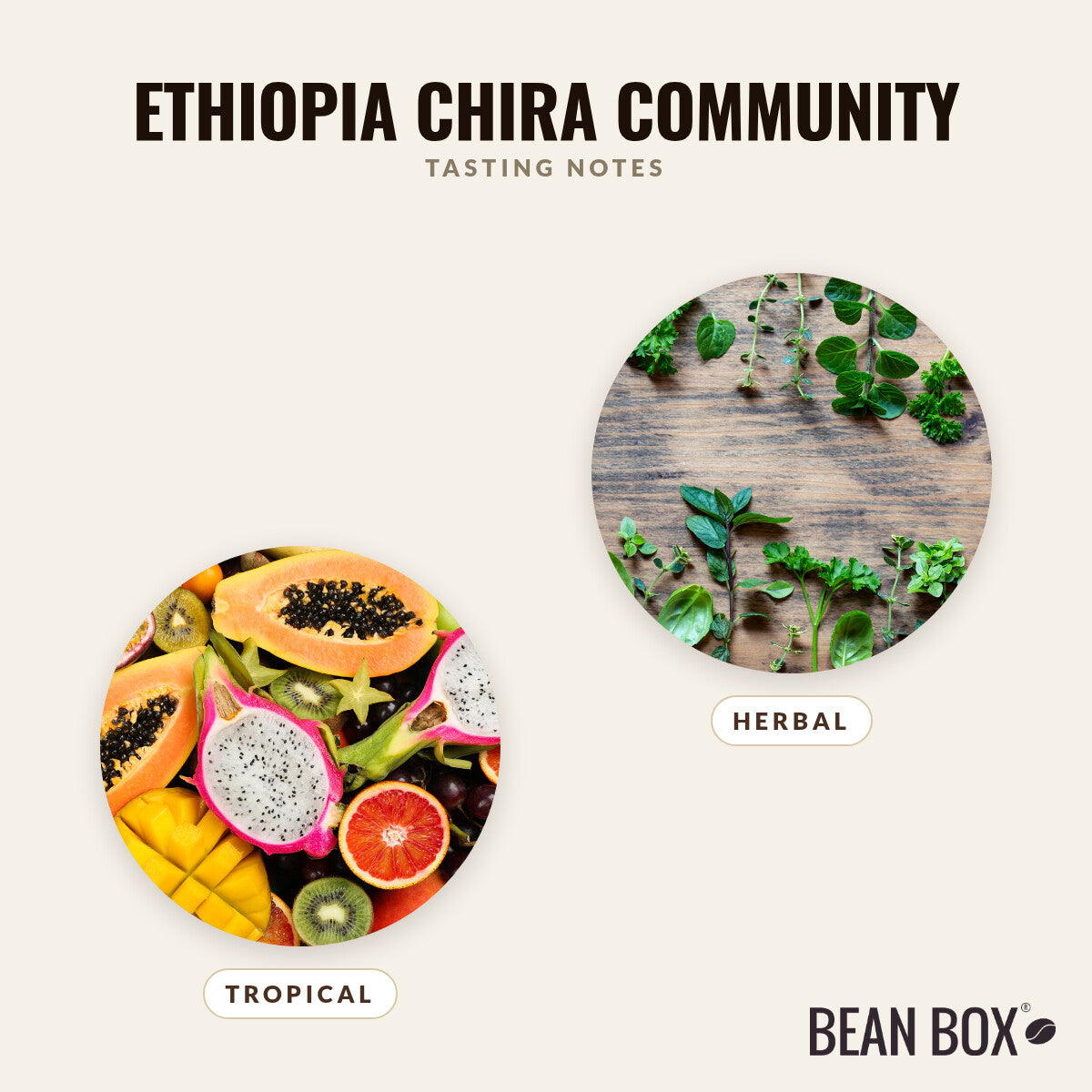 Ethiopia Chira Community