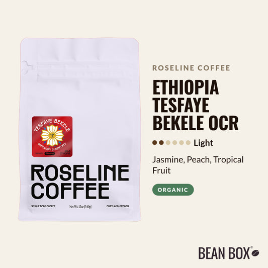 Ethiopia Tesfaye Bekele OCR