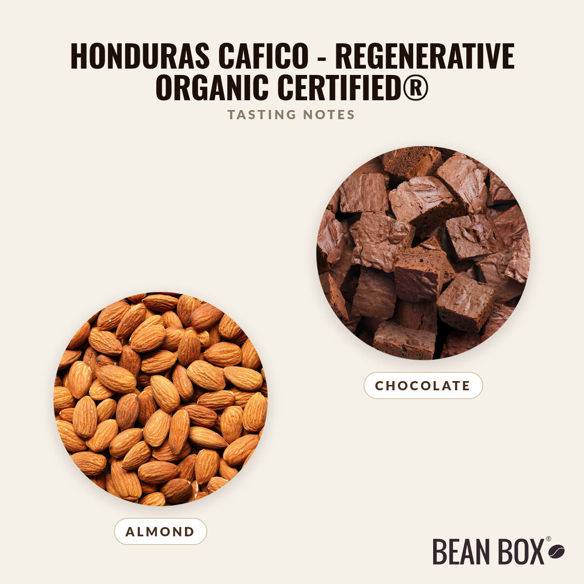 Honduras Cafico - Regenerative Organic Certified®