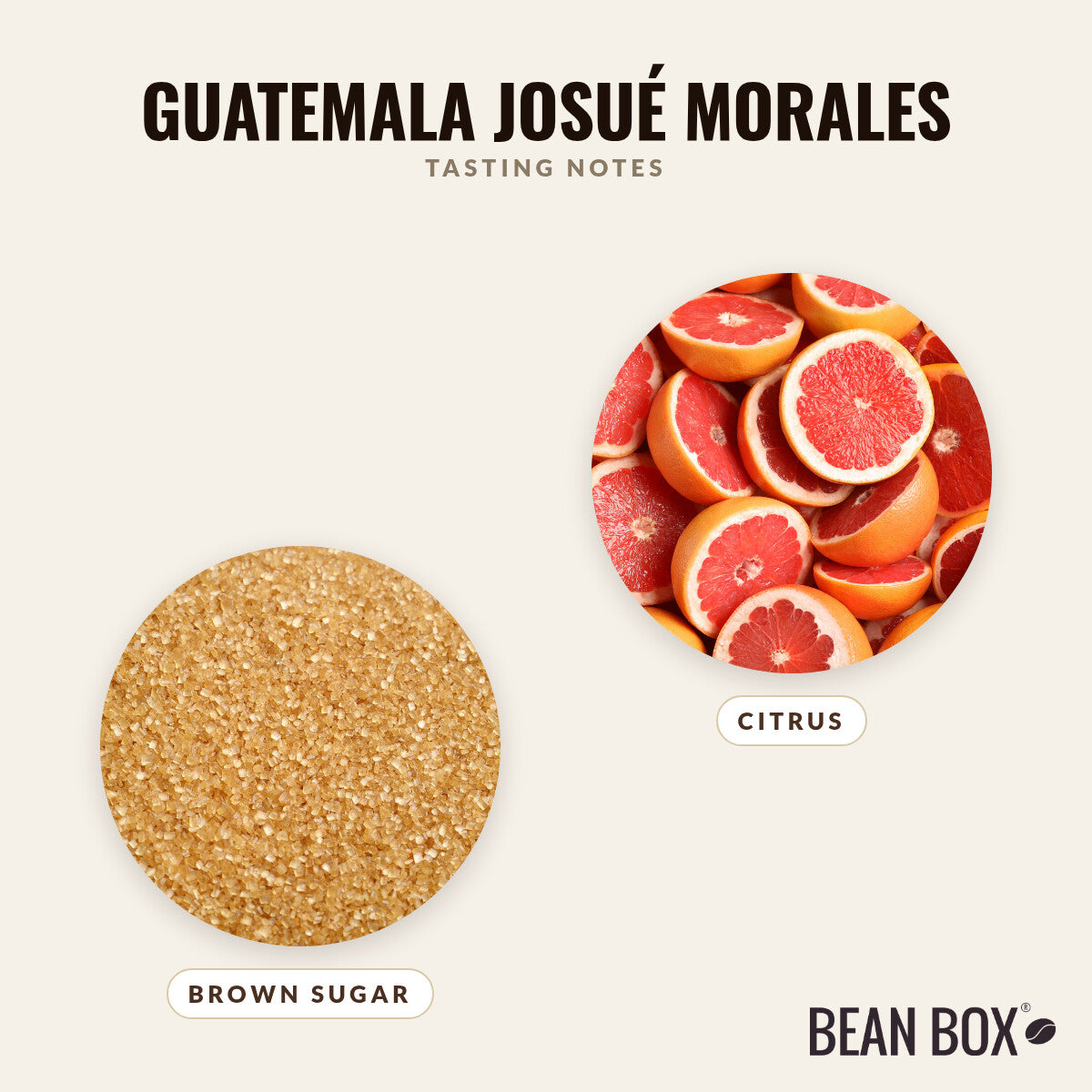 Guatemala Josué Morales