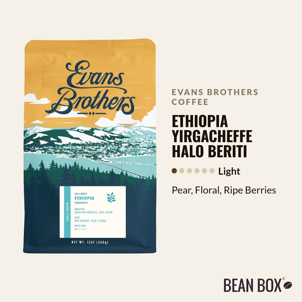 Ethiopia Yirgacheffe Halo Beriti
