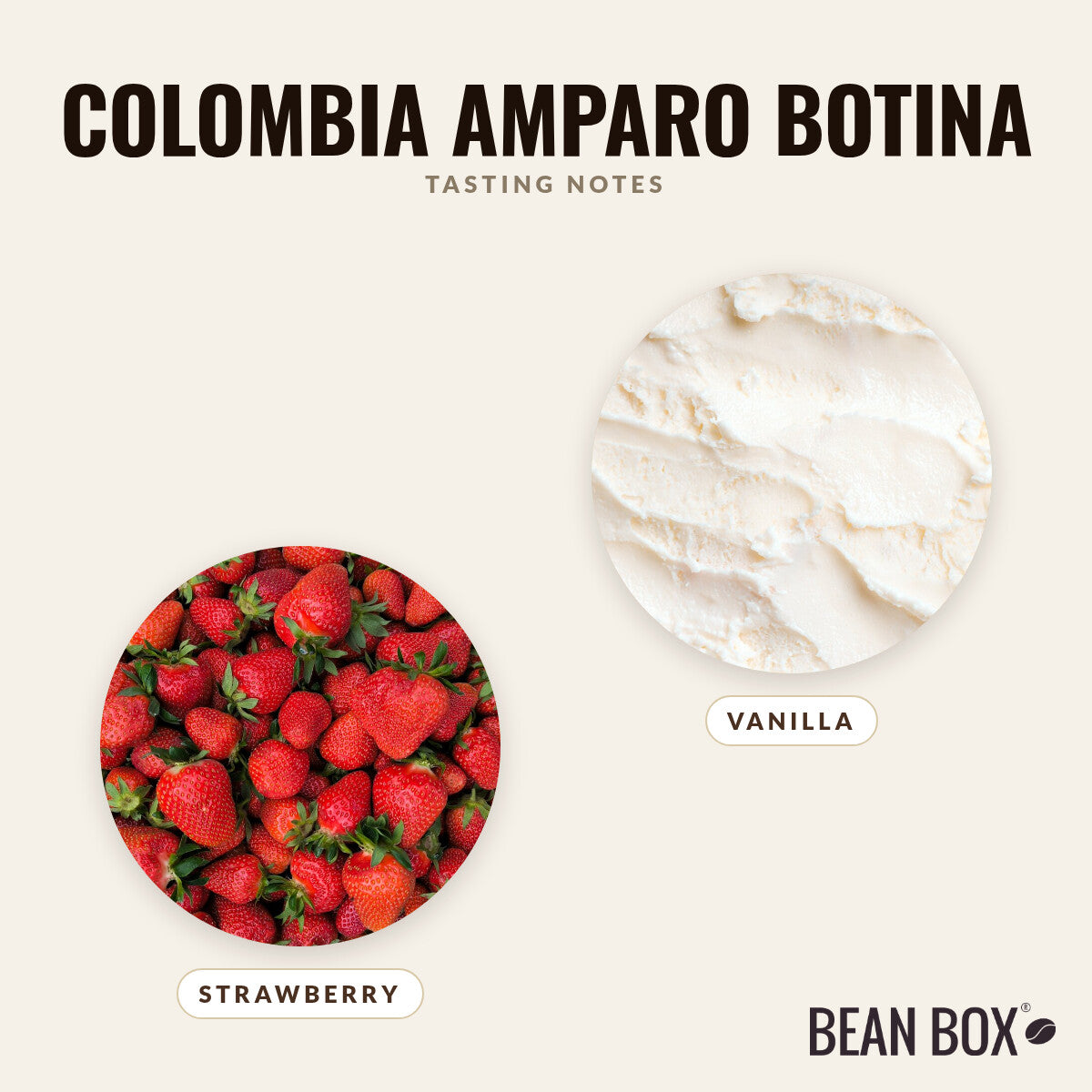 Colombia Amparo Moncayo Botina