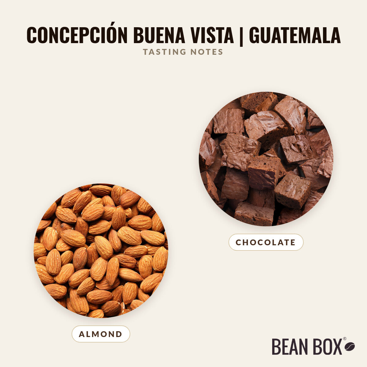 Concepción Buena Vista | Guatemala